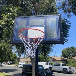 Basketball Hoop 