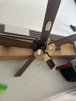 Fan
