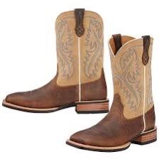 Ariat Mens Boots