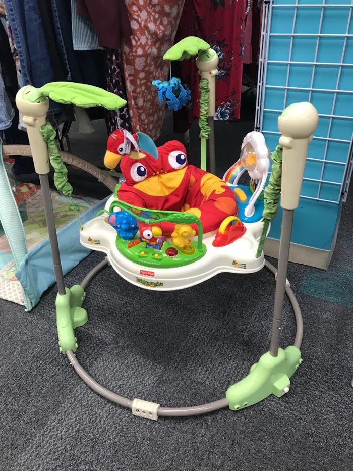 Fisher-Price Baby Bouncer