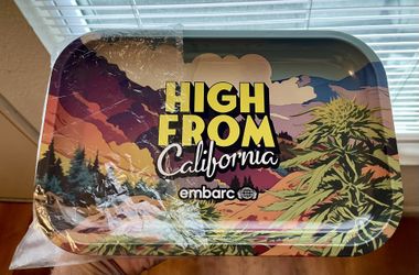 NEW TRAY