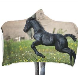 Hooded Horse Blankets