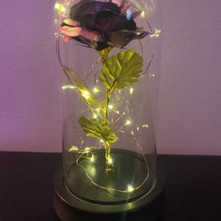 Beautiful Rose Flower In Glass Dome