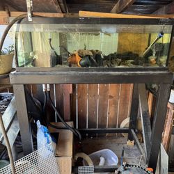 80 Gallon Shallow Aquarium With Stand And filter