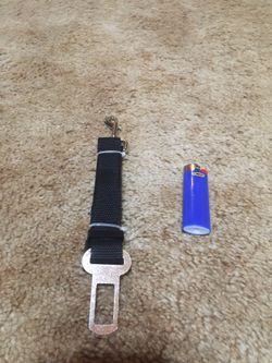 Dog and pet stuff