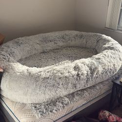 Human Size Dog Bed