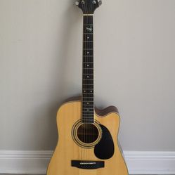 Michelle Acaustic Guitar