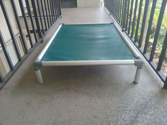 50x36 dog bed  70.00