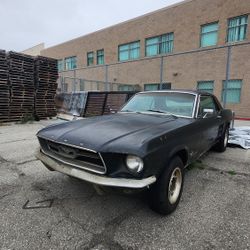 1967 Ford Mustang