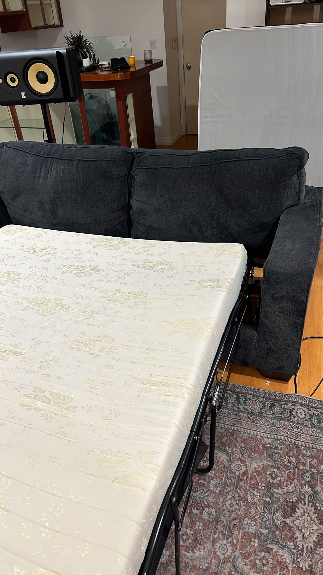 Sleeper Sofa