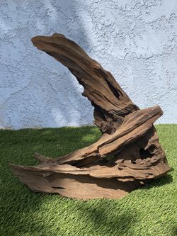 Large Unique Driftwood, terrarium wood, sculpture wood,succulent wood,  air plant wood.
