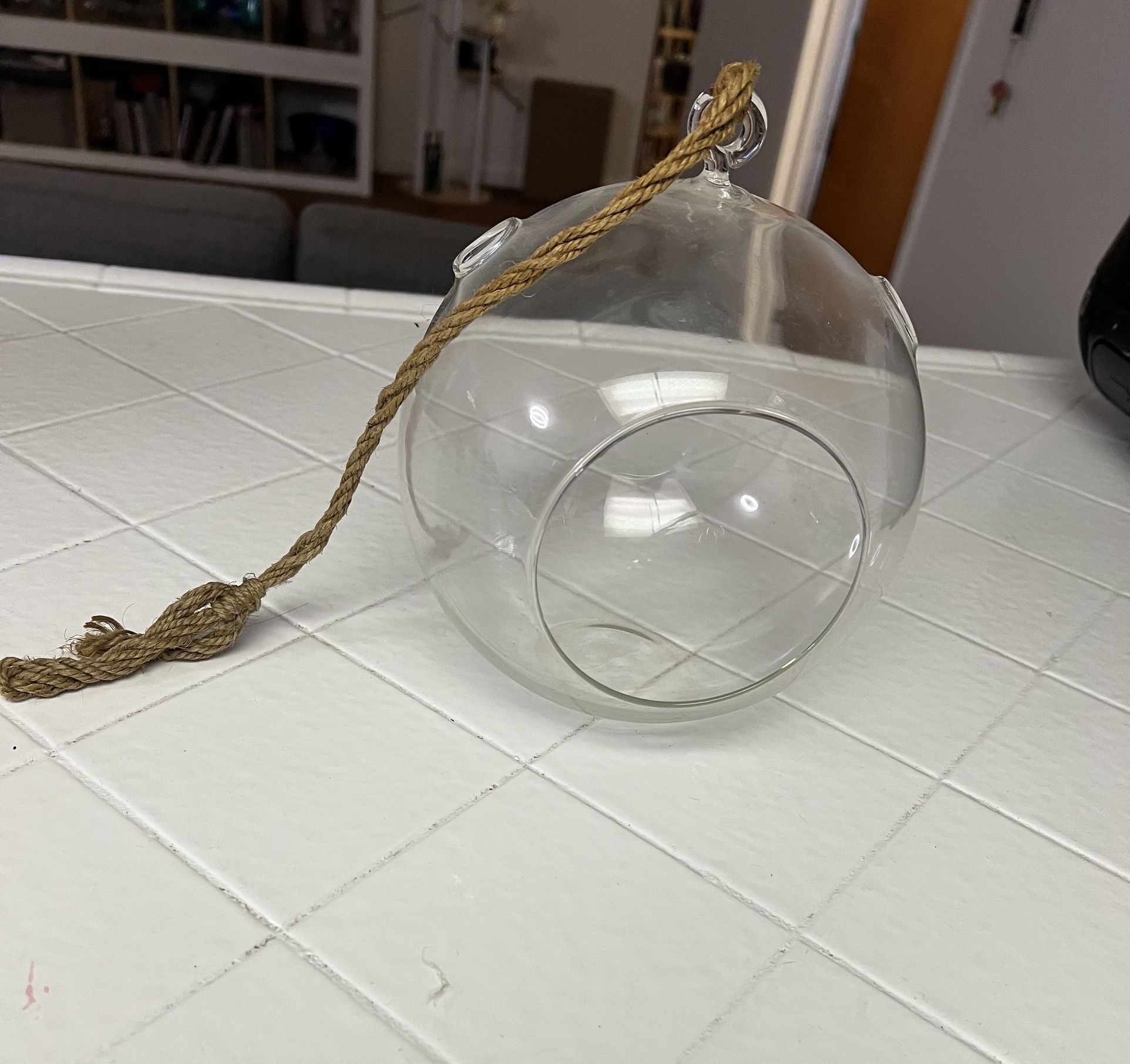 Hanging Glass. Terrarium 