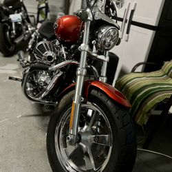 2014 Harley Davidson Sportster 1200