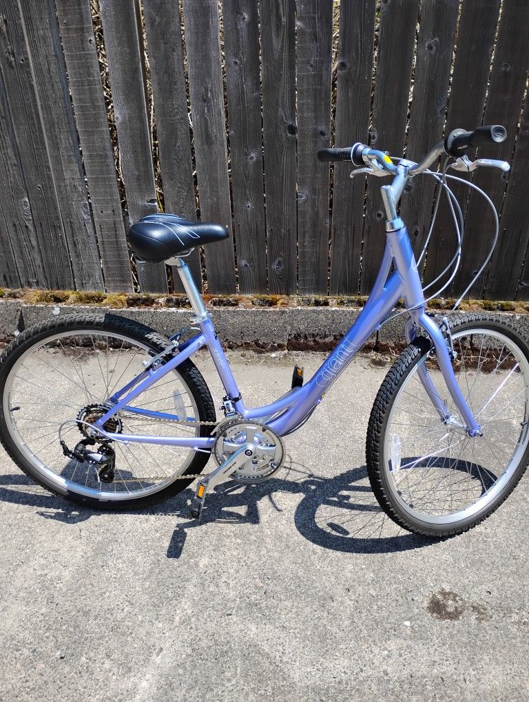 Ladies 21 Speed Cruiser