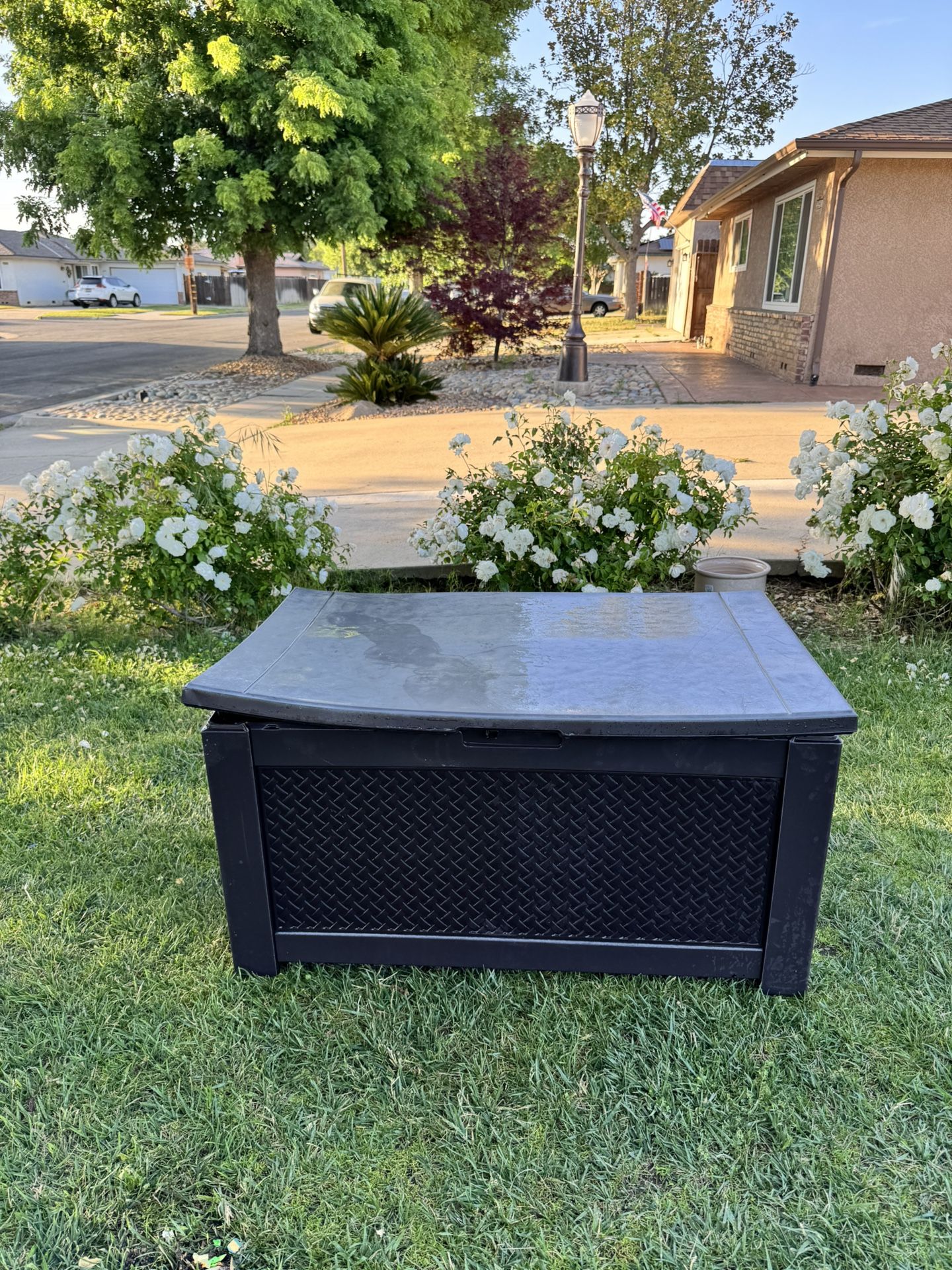 50$$ Storage Box 