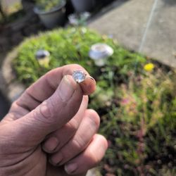 S&Y  14k 0.5 Diamond 