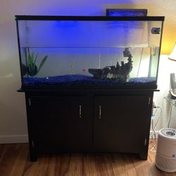 60 Gallon Fish Tank 