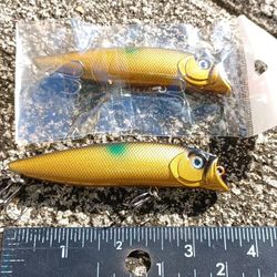 Shallow Water Subsurface Lure
