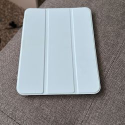 Mini Ipad Case