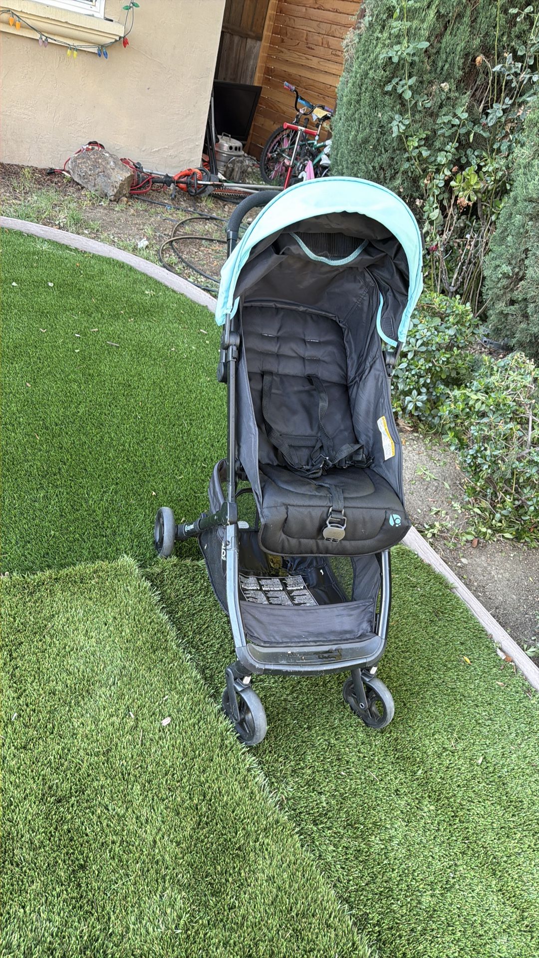 Tango Mini , black with blue color