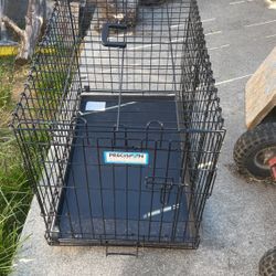 Dog crate With Bottom Surface 