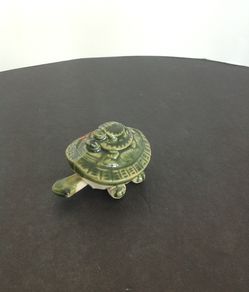 Turtles