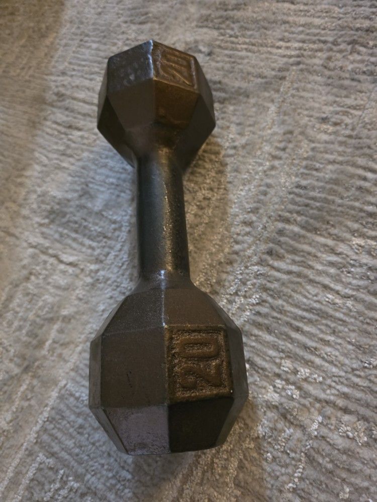 20 Lb Pound Dumbbell Gym Workout
