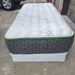 XL 12" Restonic Twin Matress And Box Spring
