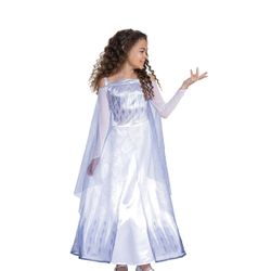 Disney’s Frozen Elsa Costume! SOLD OUT! 