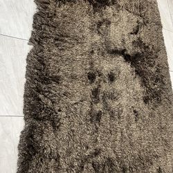Brown Shag Rug