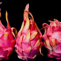 Red Dragon Fruits 🌵❤️