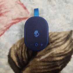 SkullCandy Speaker