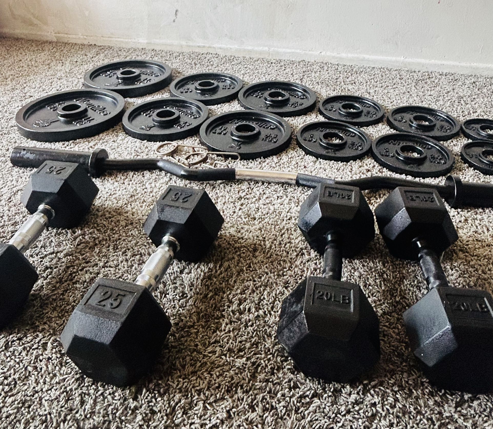Weight Plates Gym Set  205 LB