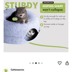 Cattasaurus Cat Toy Hide Away 