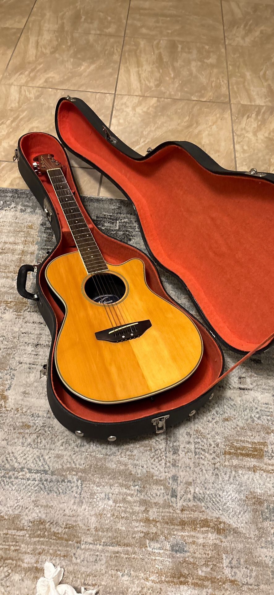 Electric Guitar