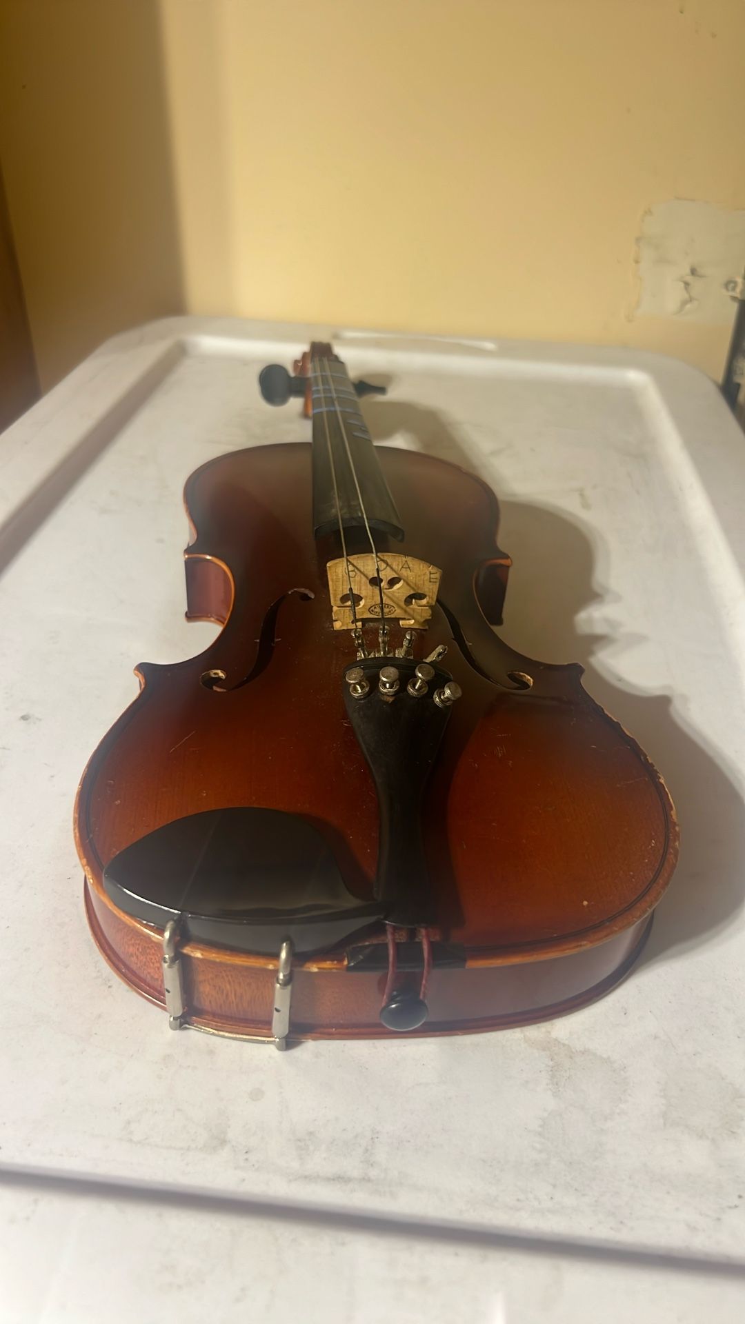 Suzuki Model 220 sized 1/2 Violin 1975