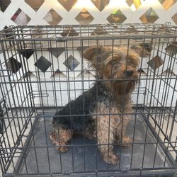 Small Dog Cage 