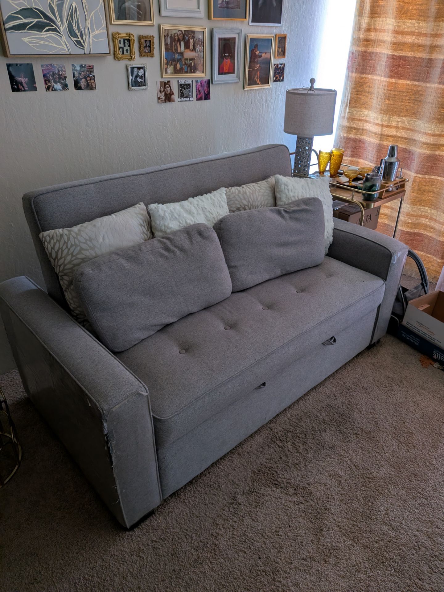 Loveseat/Sleeper Sofa