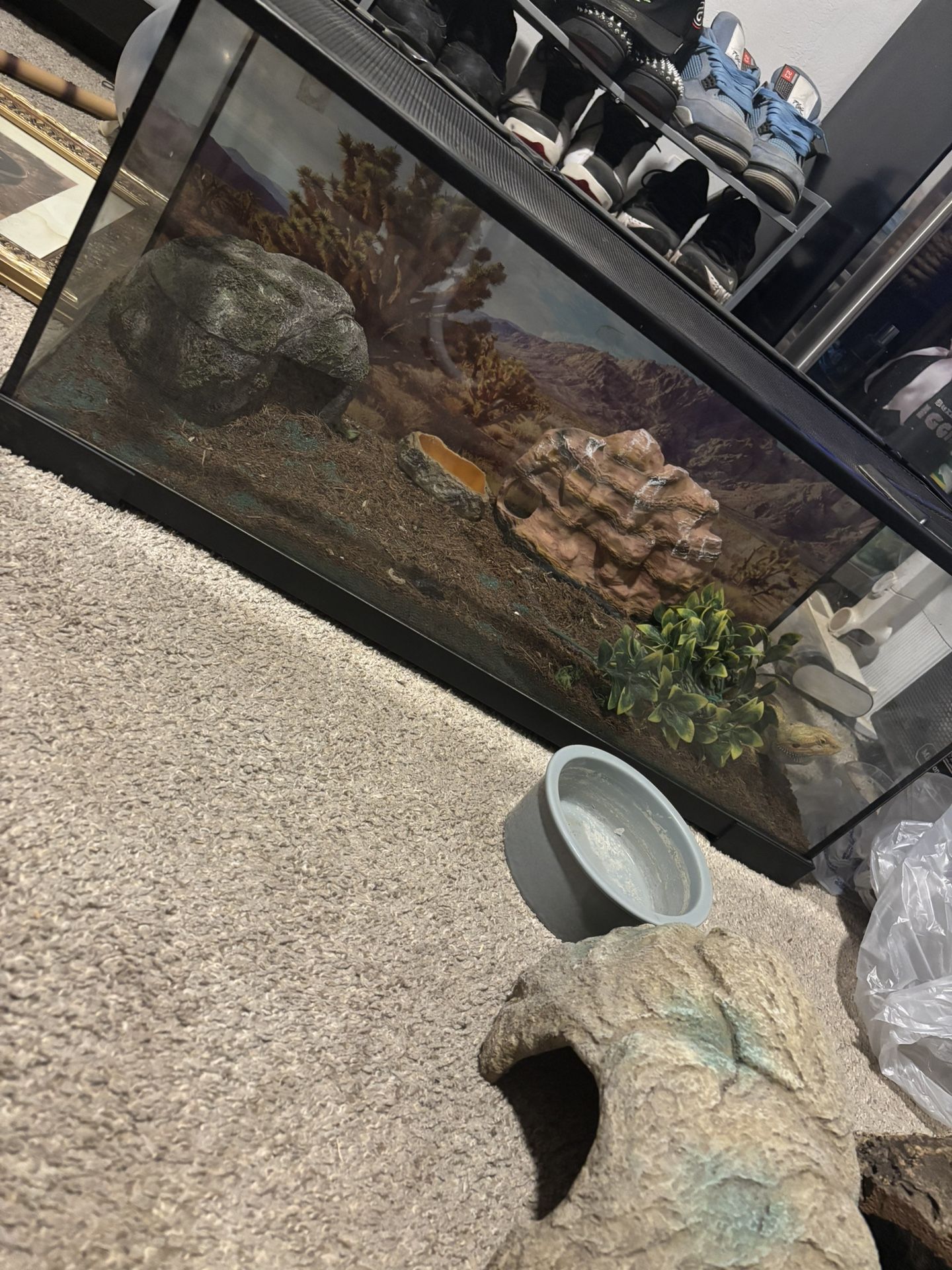 40 gallon tank