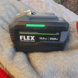FLEX 24v Portable Battery
