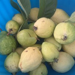 Guava 4$/pound