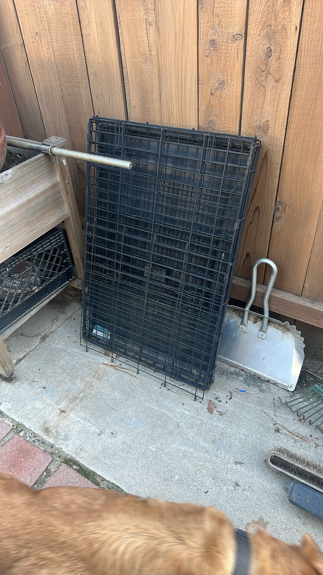 Large dog Crate