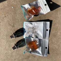 Free H7 Bulbs