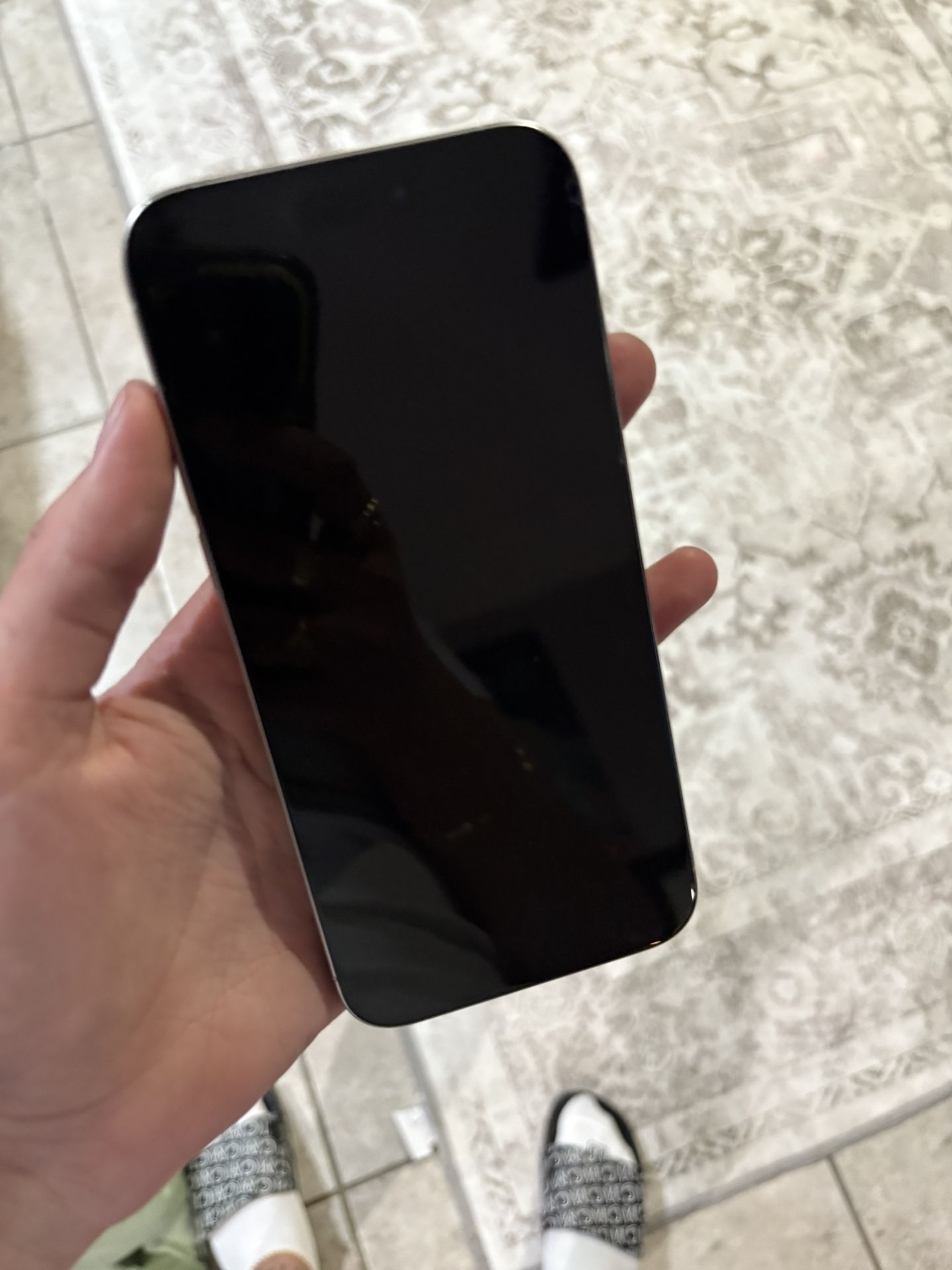 iPhone 15 Pro Max (white) 