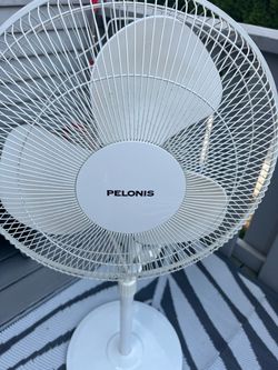 Standing fans