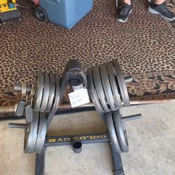 Weights, Tree And Bar