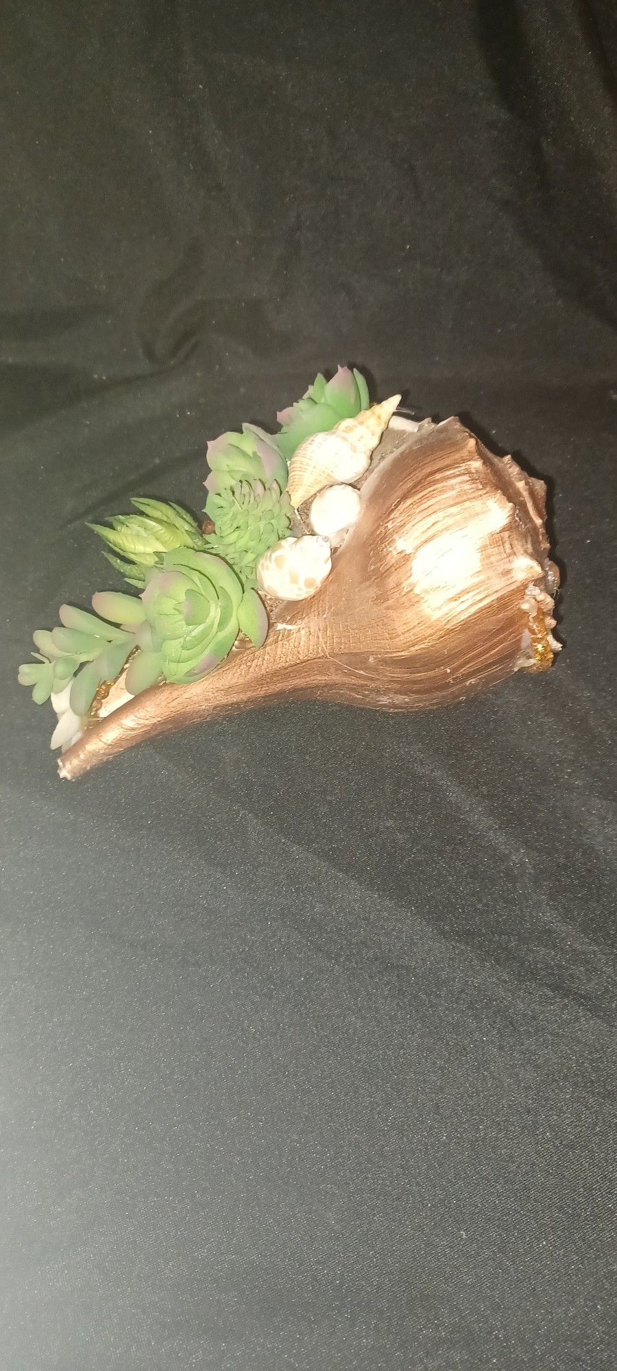 Succulent (Artificial) In Conch Shell 