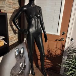 Mannequin & Art Picture