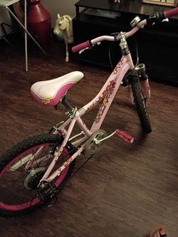 🚲