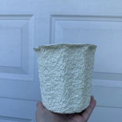 Cardboard Planter Pots Plant Starters 